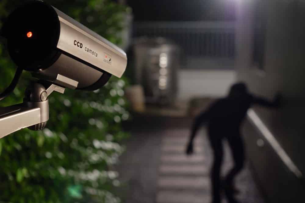 Professional CCTV security camera monitoring for theft protection